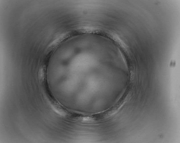 X0000090930165200708131501