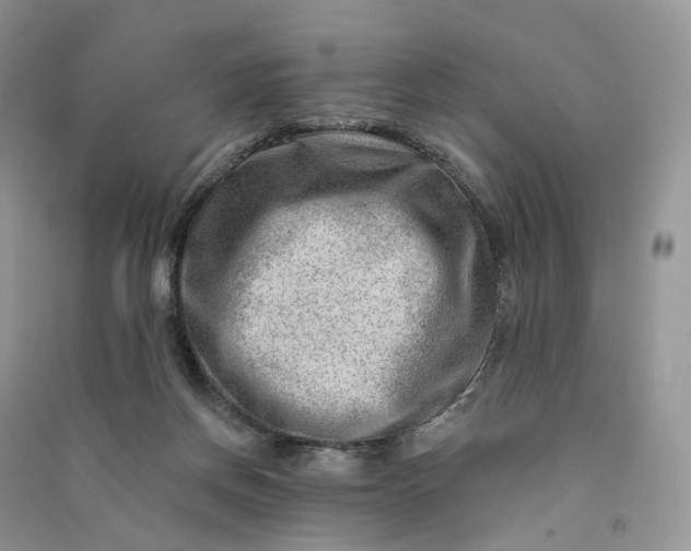 X0000090930166200708131501