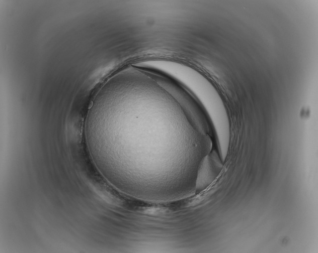 X0000090930168200708131501