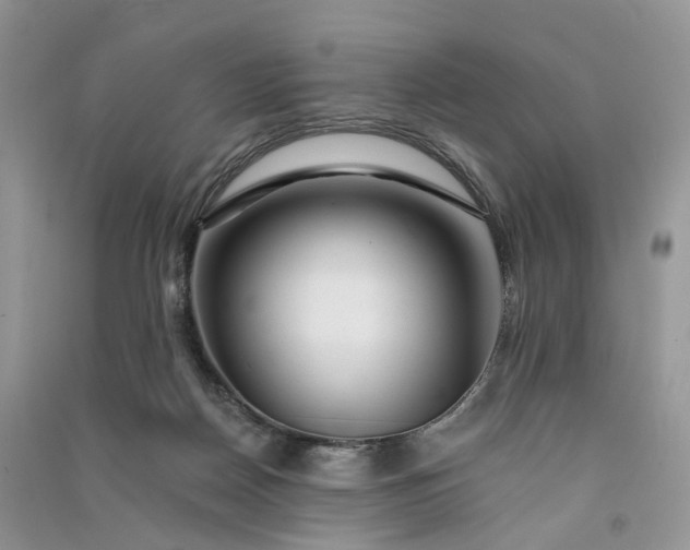 X0000090930170200708131501