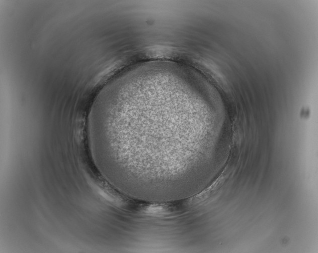 X0000090930171200708131501