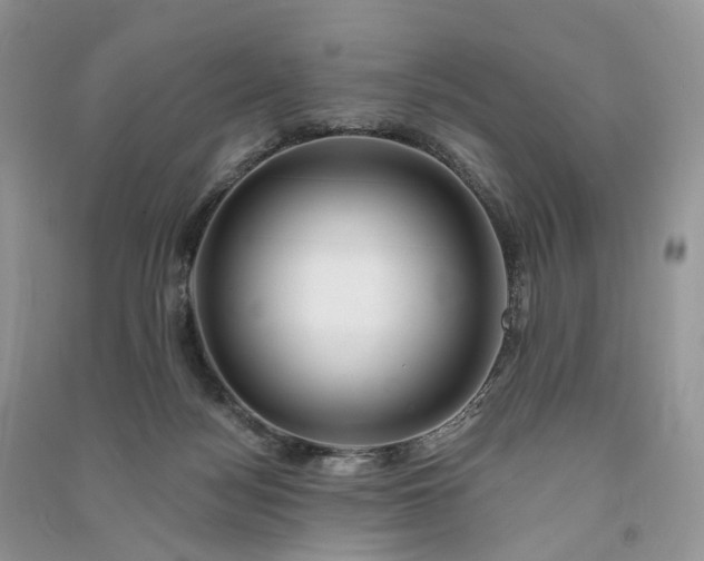 X0000090930172200708131501