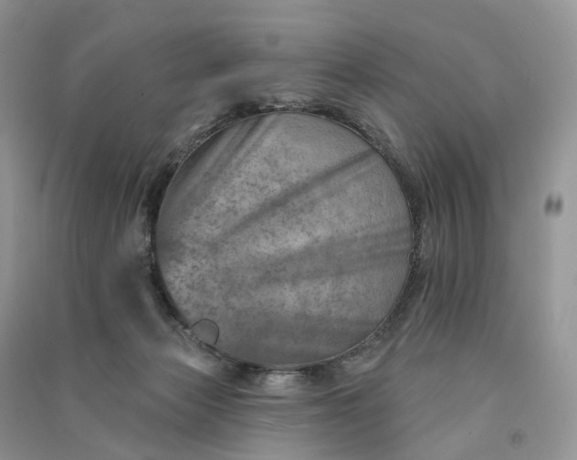 X0000090930173200708131501