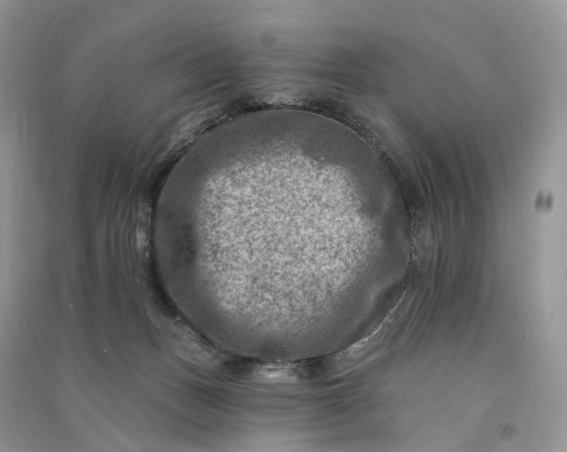 X0000090930175200708131501