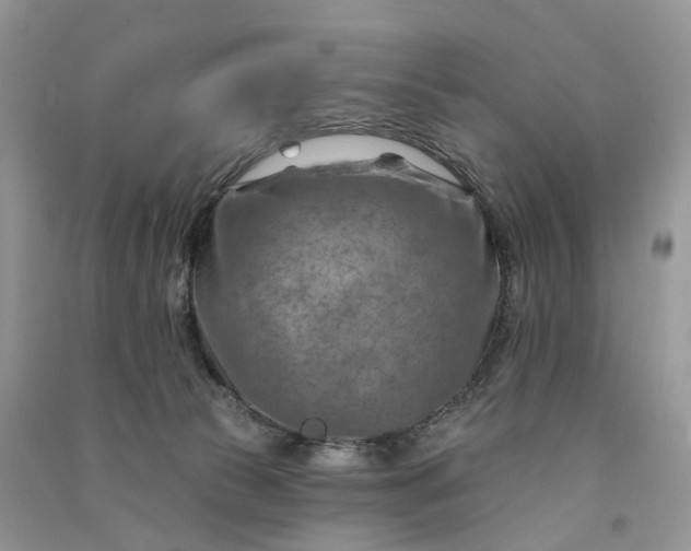 X0000090930177200708131501