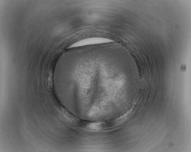 X0000090930178200708131501