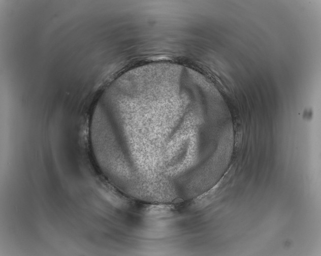 X0000090930179200708131501