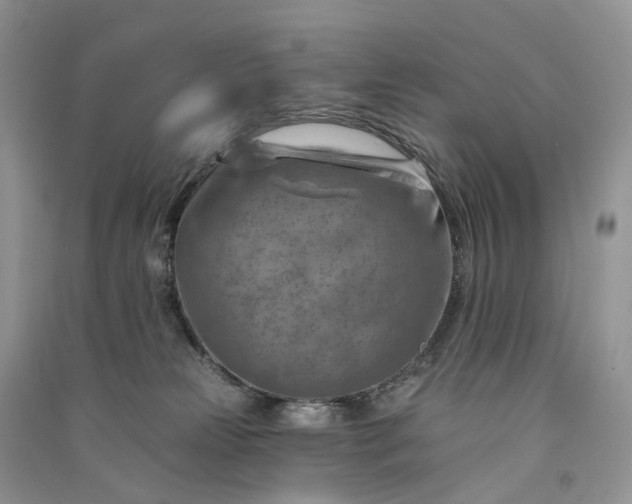 X0000090930181200708131501