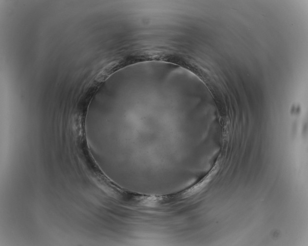 X0000090930182200708131501