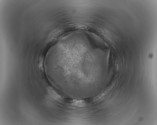 X0000090930185200708131501