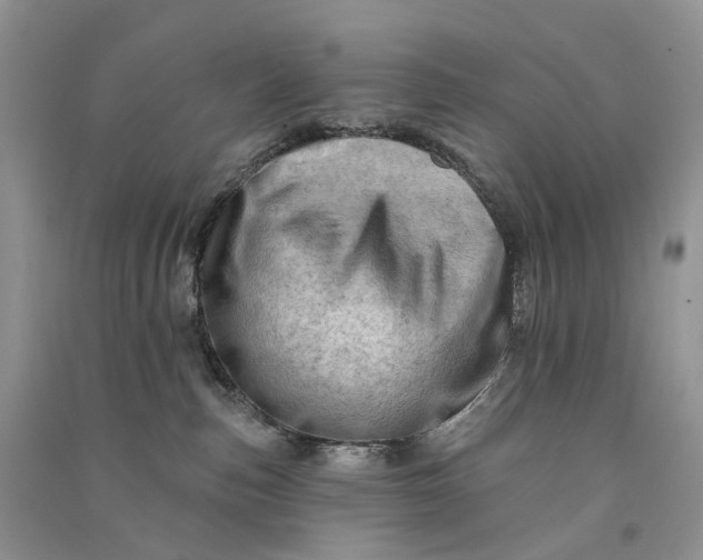 X0000090930187200708131501