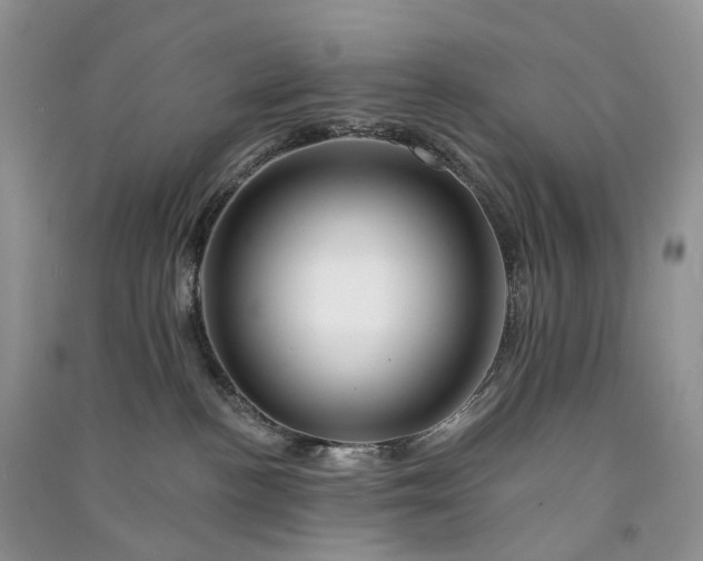 X0000090930188200708131501