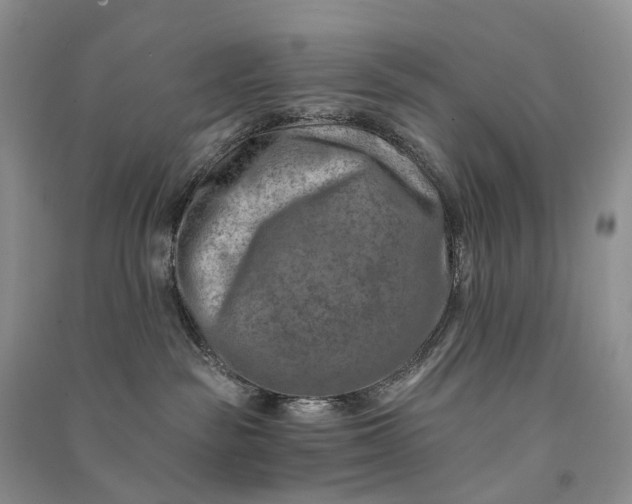 X0000090930189200708131501