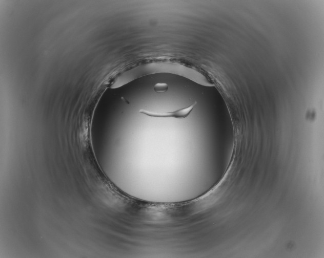 X0000090930190200708131501