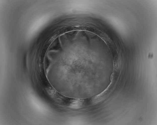 X0000090930191200708131501