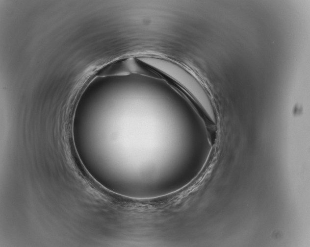 X0000090930193200708131500