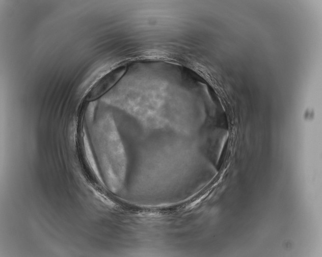 X0000090930194200708131500