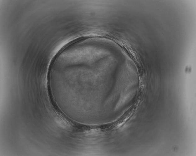 X0000090930196200708131500