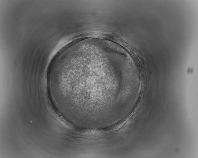 X0000090930198200708131500