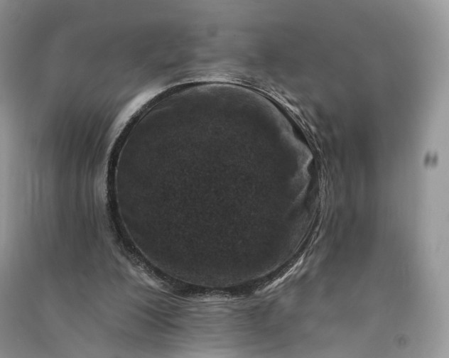 X0000090930200200708131500