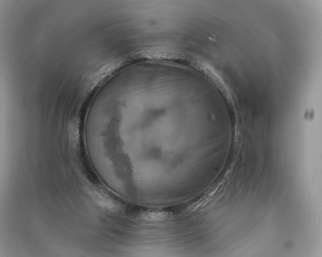 X0000090930202200708131500