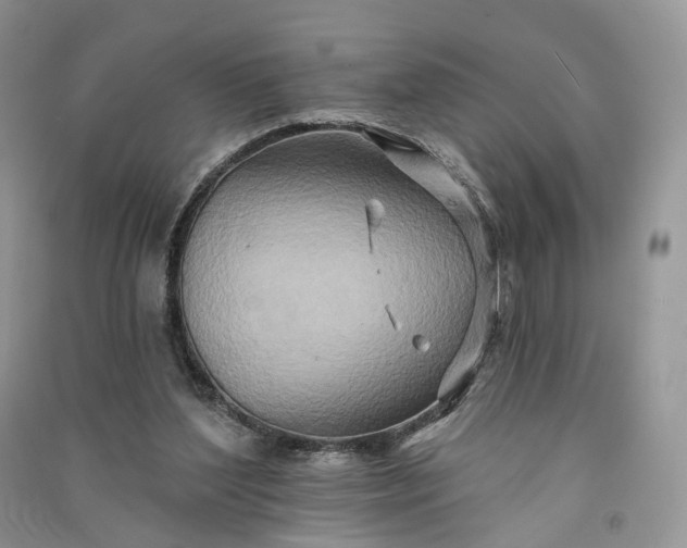 X0000090930204200708131500