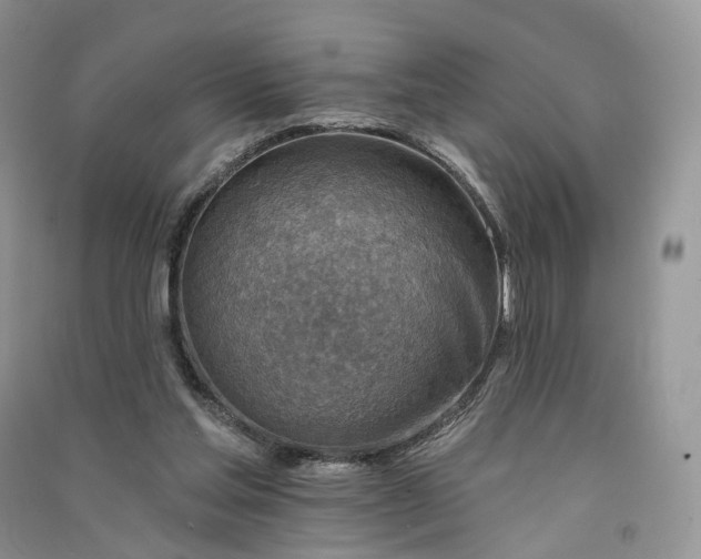 X0000090930205200708131500