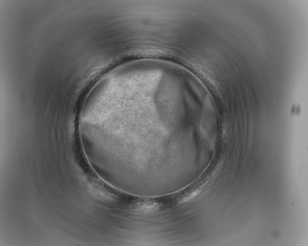 X0000090930206200708131500