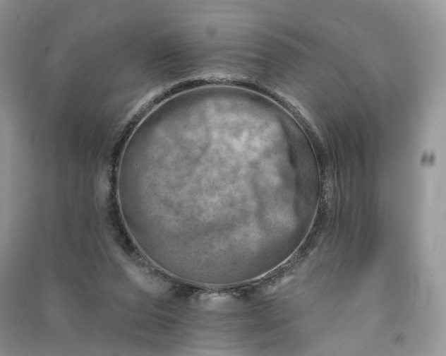 X0000090930208200708131500