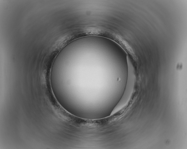 X0000090930209200708131500