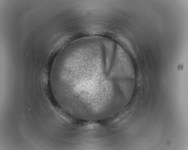 X0000090930210200708131500