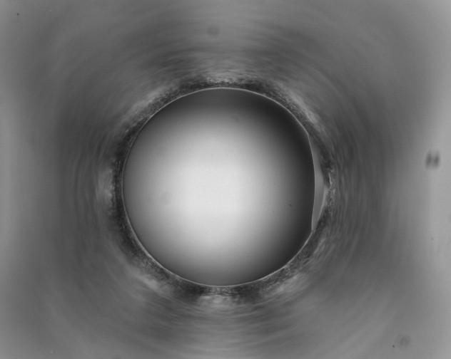 X0000090930211200708131500