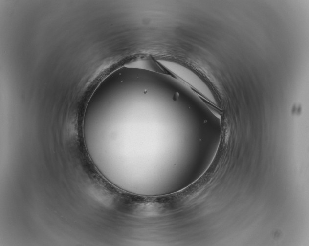 X0000090930212200708131500