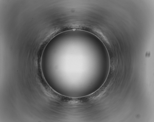 X0000090930213200708131500