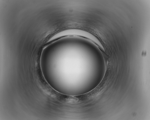 X0000090930215200708131500