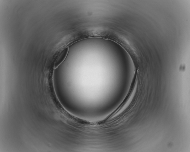 X0000090930217200708131500