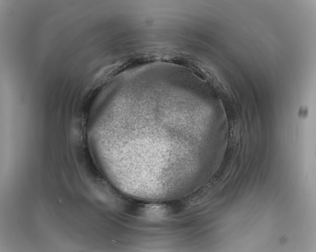 X0000090930218200708131500