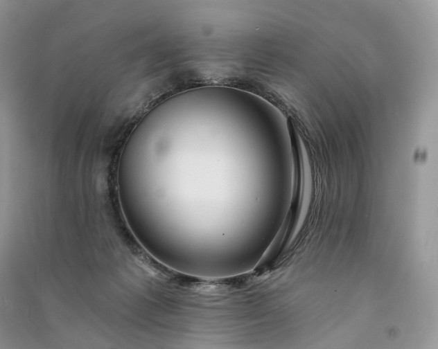 X0000090930221200708131500