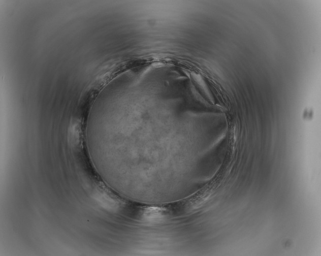 X0000090930222200708131500