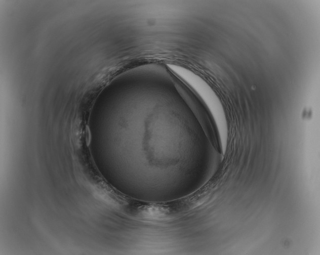 X0000090930223200708131500