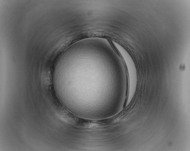 X0000090930224200708131500