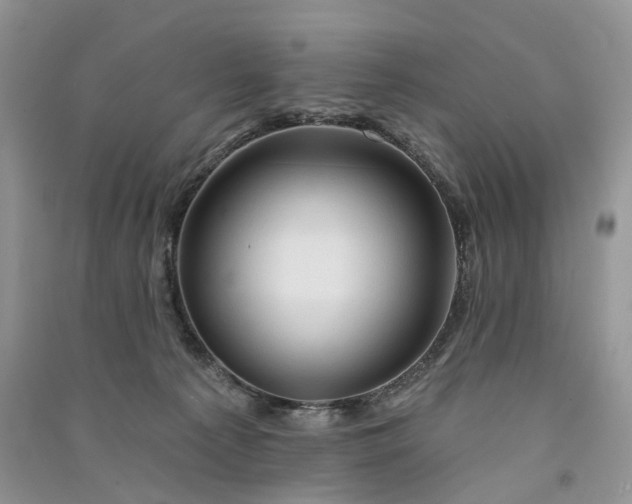 X0000090930225200708131500