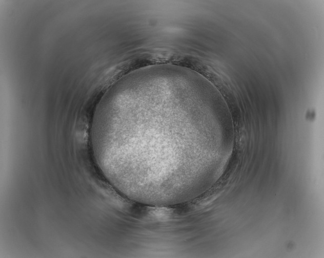 X0000090930226200708131500