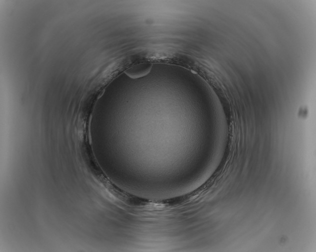 X0000090930227200708131500