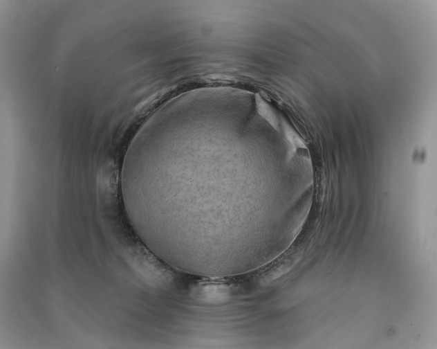 X0000090930228200708131500