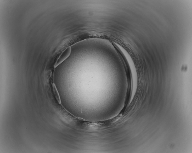 X0000090930229200708131500