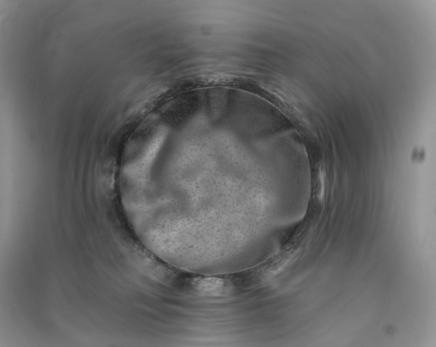 X0000090930230200708131500