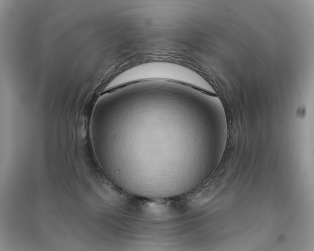 X0000090930232200708131500