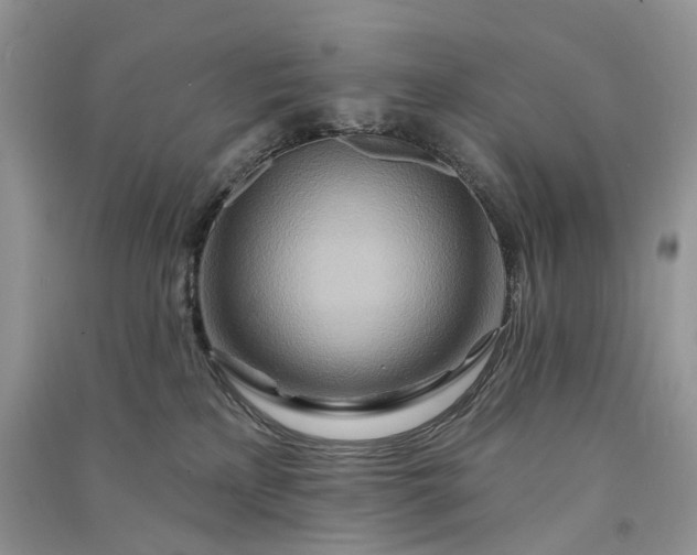 X0000090930233200708131500