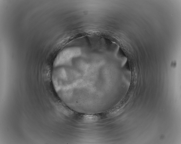 X0000090930234200708131500